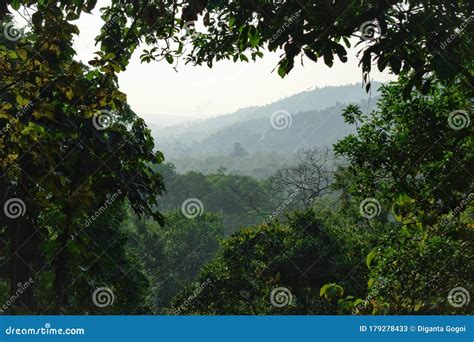 Beautiful Mountain and Forest in India ,assam Stock Image - Image of ...