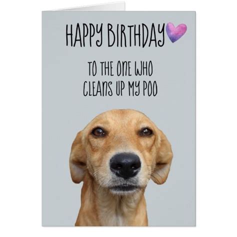 Happy Birthday From The Dog Funny Humor Card | Zazzle.com | Dog ...