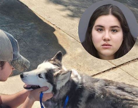 Dog Hammer Viral Video Trending On Internet: Is Elizabeth Jaimes Arrested?
