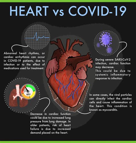 What COVID means for an athlete's heart • Daily Montanan