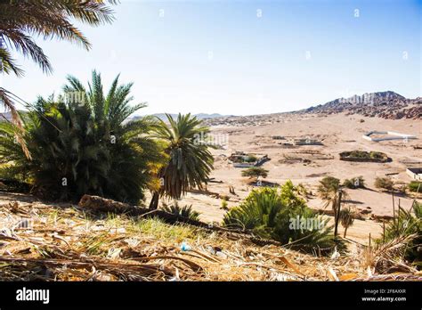 Saudi Arabian farm land Stock Photo - Alamy