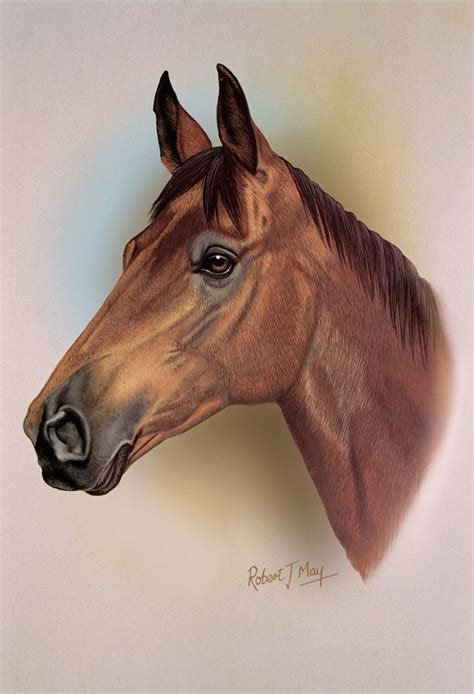 Horse Head Print | Horse pictures to print, Horse drawings, Horse painting