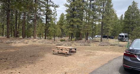 Bryce Canyon Pines Campground | The Dyrt