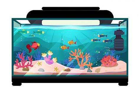 Aquarium illustration (348887) | Illustrations | Design Bundles in 2021 | Aquarium drawing ...