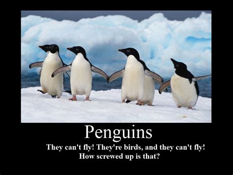 Inspirational Quotes With Penguins. QuotesGram