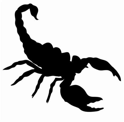 Silhouette Of A Scorpion Free Stock Photo - Public Domain Pictures