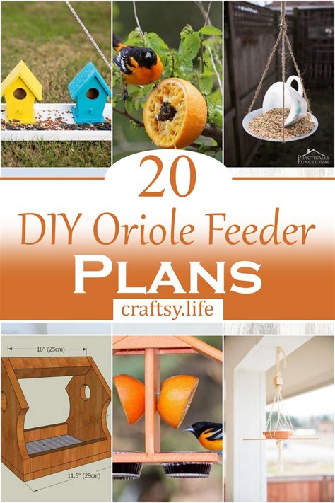 20 DIY Oriole Feeder Plans For Garden - Craftsy