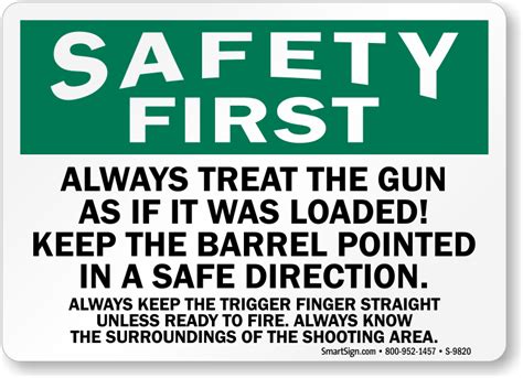 Gun safety, you just cannot stress it enough! - You Will Shoot Your Eye Out