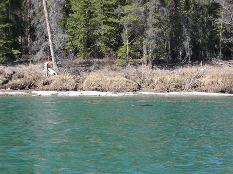 Historic Yukon River Canoe Trip - Yukon Wide Adventures