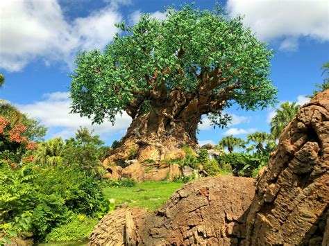 Disney's Animal Kingdom Friday Fun Facts - Theme Park Professor