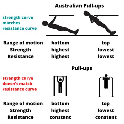 meter realizovať demontáž australian pull up muscles worked Vyššie ...