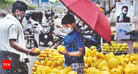 Conducive Weather, Minimal Infections Raise Hopes Of Mango Farmers This ...