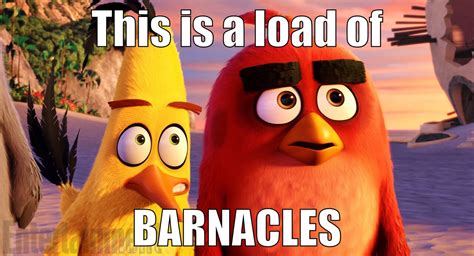 This is a load of barnacles | Angry Birds | Know Your Meme