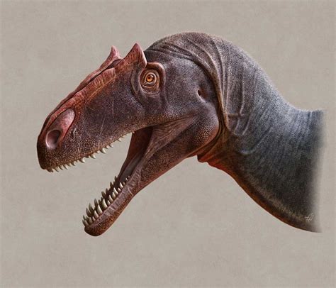 New species of carnivorous dinosaur discovered in Utah - SlashGear