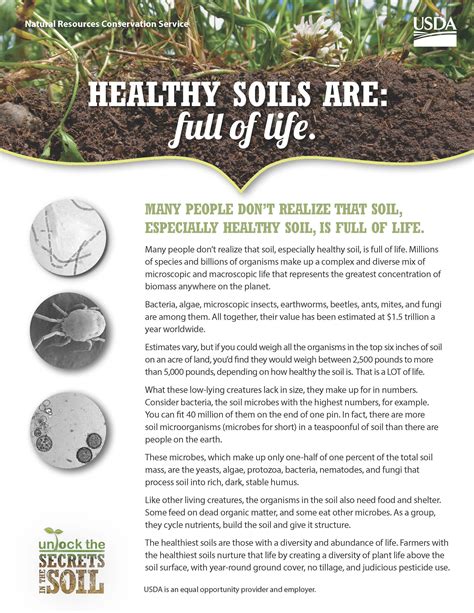 Image result for healthy top soil | Soil health, Compost soil ...