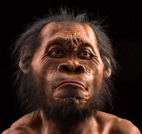 Homo naledi: New Species of Human Ancestor Discovered | Anthropology | Sci-News.com