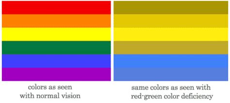 Color Blindness: Causes & Types | SchoolWorkHelper