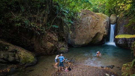 Hiking-Corcovado-National-Park-from-Sirena-to-Carate-station - Explore ...