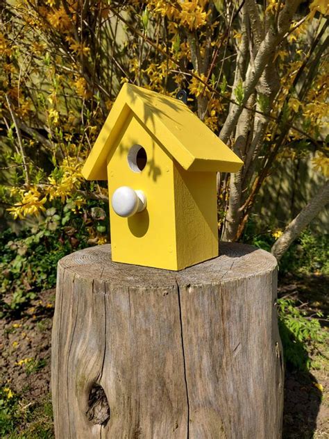 Colourful Birdhouse yellow | Etsy