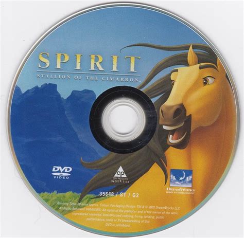 Spirit - Stallion of the Cimarron - DVD - Catawiki