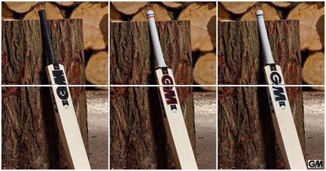 Top 15 Best Cricket Bat Brands (SG, Kookaburra, MRF + More)