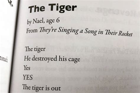 6-year-old’s ‘Tiger’ poem takes Twitter by storm | WTOP