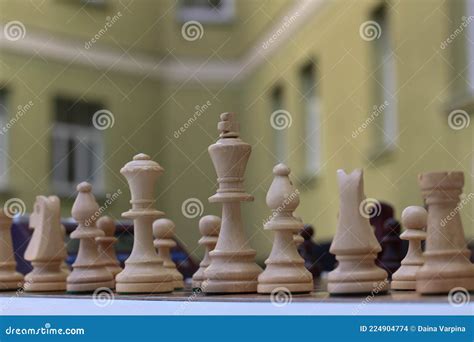 Enjoying Summer. Playing Chess. Education, Communication. Games and Participate in Chess ...