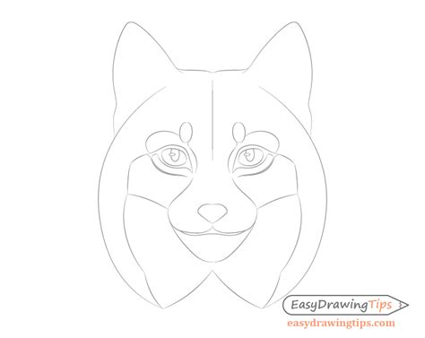 How to Draw a Lynx Face & Head Step by Step - EasyDrawingTips