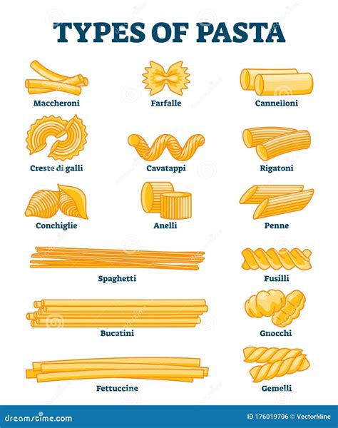 Types of Pasta Vector Illustration. Labeled Italian Cuisine Shapes ...