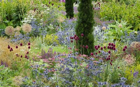 Beautiful summer borders | Wildflower garden, Plants, Garden shrubs