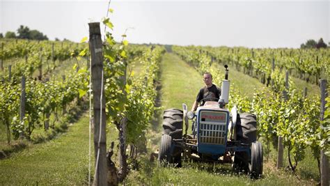 Timeline: Farm Winery Act sparked explosive growth