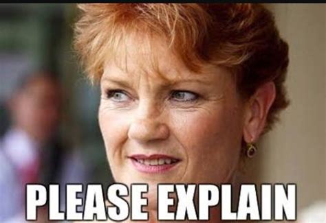 Pauline hanson please explain | Pauline hanson, Pauline, Memes