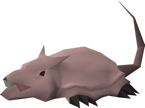 File:Brine rat.png - OSRS Wiki