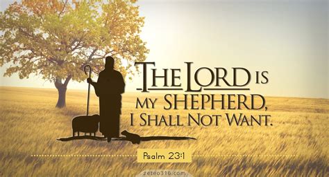 As He Is, So Are We Ministries: The Lord is My Shepherd, I Shall Not Want or Fear