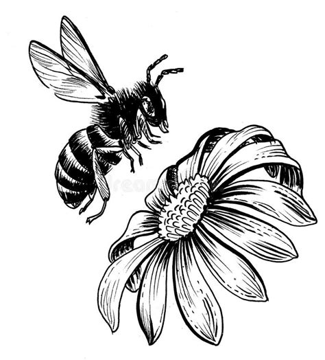 Bee and flower stock illustration. Illustration of plant - 260928089