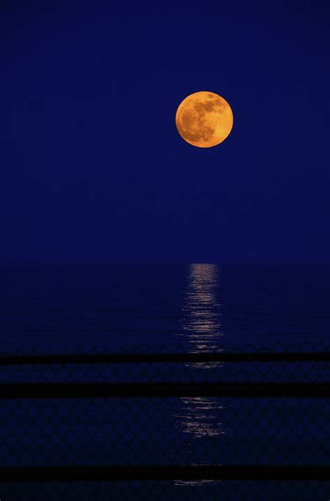 Moonrise Photo Photograph by Orchidpoet - Fine Art America