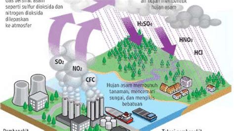 Hujan Asam Adalah – newstempo