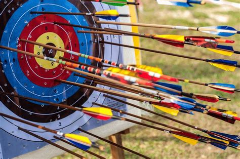 10 Best Archery Target For The Money - 2024 Reviews