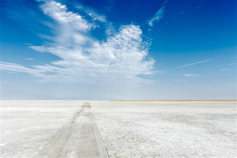 Largest Salt Pan The Makgadikgadi Pan - African Landscape Photo