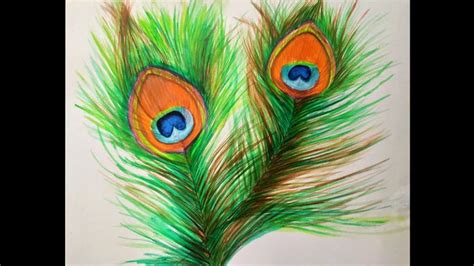 How to Draw Peacock Feather || Using Acrylic Colours | Drawings ...