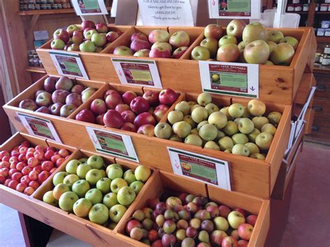 Scott Farm’s Heirloom Apple Day Deliciously Successful — The Landmark Trust USA