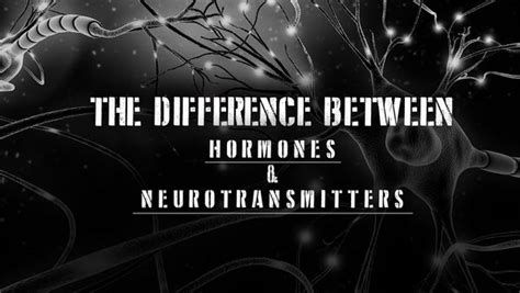 How Hormones And Neurotransmitters Can Help You - Part 2 – 5% Nutrition