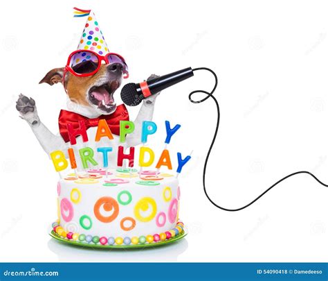 58,292 Happy Birthday Funny Photos - Free & Royalty-Free Stock Photos from Dreamstime