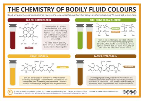 The Chemistry of the Colours of Bodily Fluids | Compound Interest