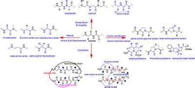 Frontiers | Polyamide Backbone Modified Cell Targeting and Penetrating Peptides in Cancer ...