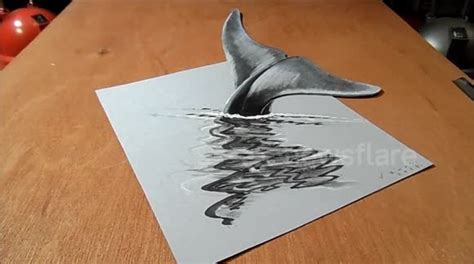 How I Draw a 3D Blue Whale, Optical Illusion & Awesome Animals by Vamos - Buy, Sell or Upload ...