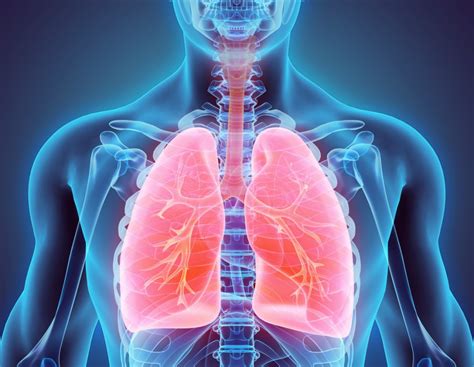 Respiratory & Pulmonology Physicians | Healthengine Blog