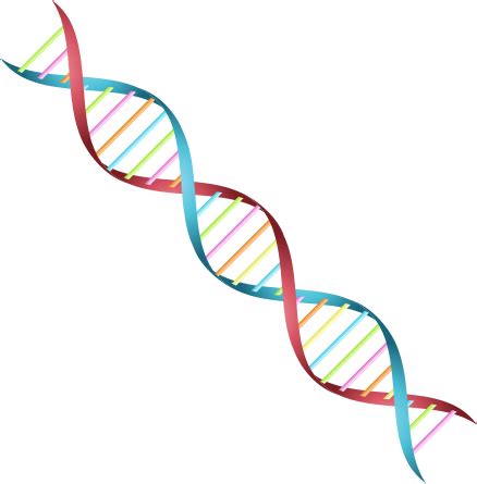 FOOD SCIENCE: Biomolecular Engineering