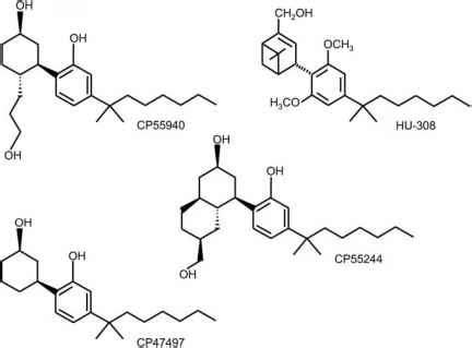 Cannabinoid Receptor Agonists - Cannabinoid Receptor - Drug Times