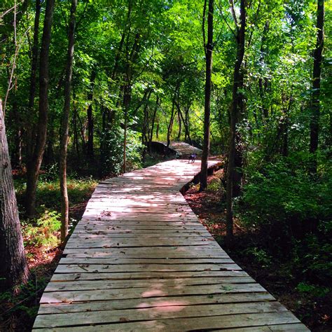 Beautiful! Natural trails in Fayetteville, Arkansas | Arkansas, Trail, Places